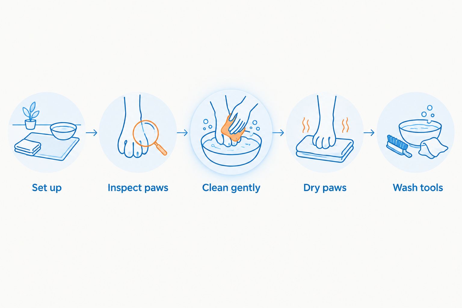 Paw-cleaning sequence from setting up supplies to washing the tools