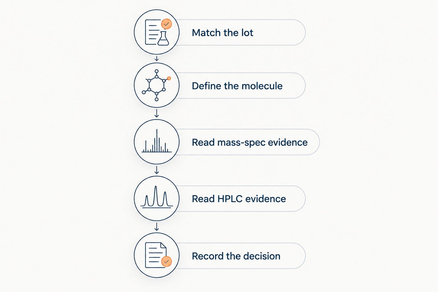 Five document-review steps from matching the lot to recording the acceptance decision