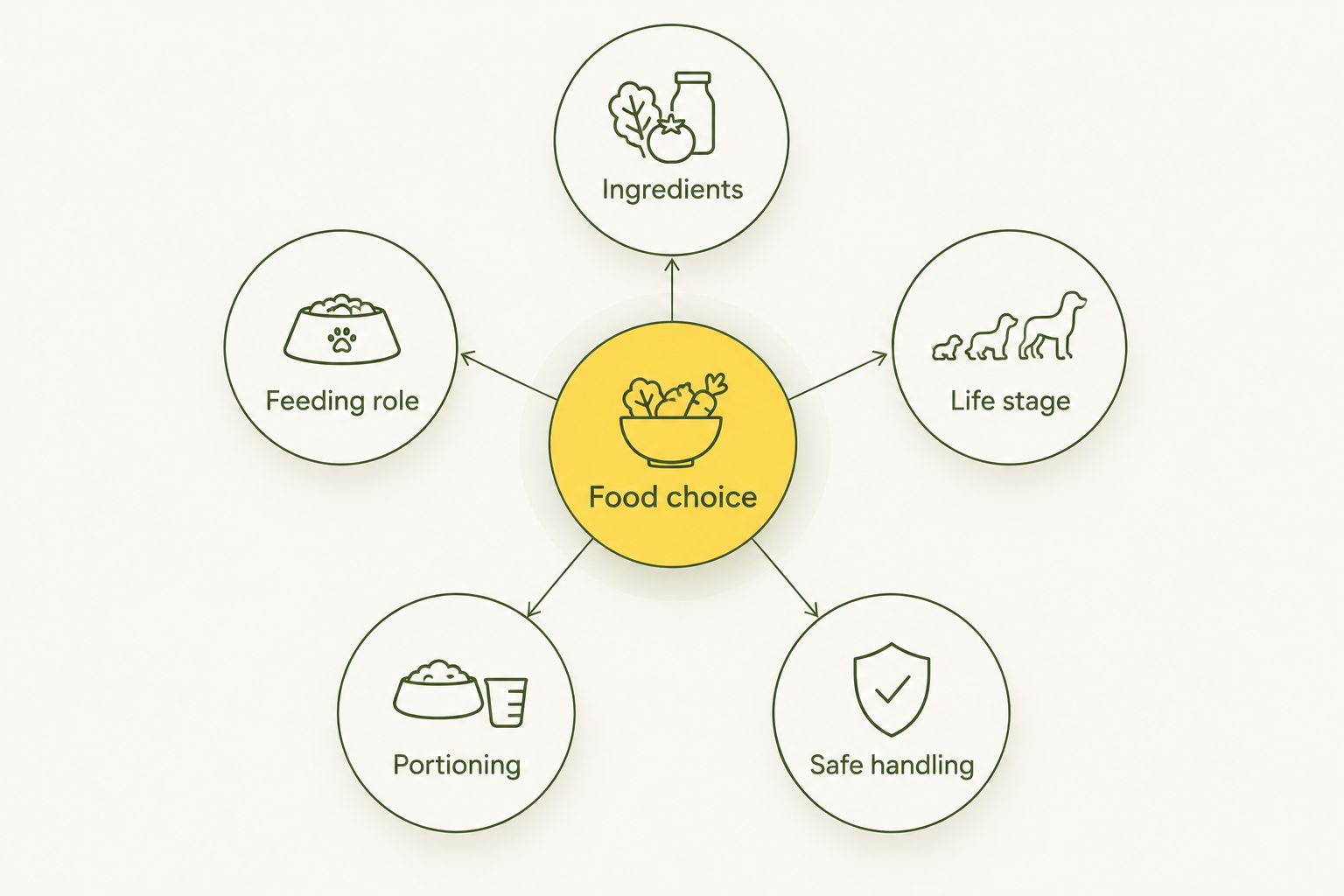 Five checks for choosing raw dog food: ingredients, feeding role, life stage, portioning and safe handling.