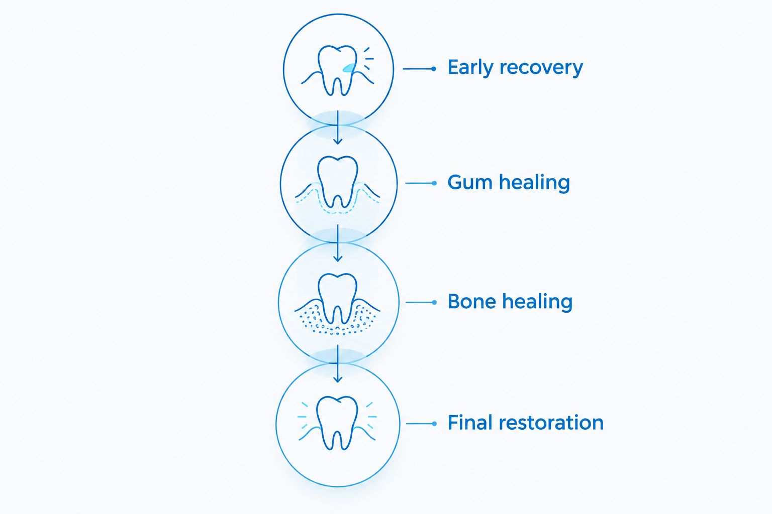 Recovery stages from early soreness through bone healing and the final restoration