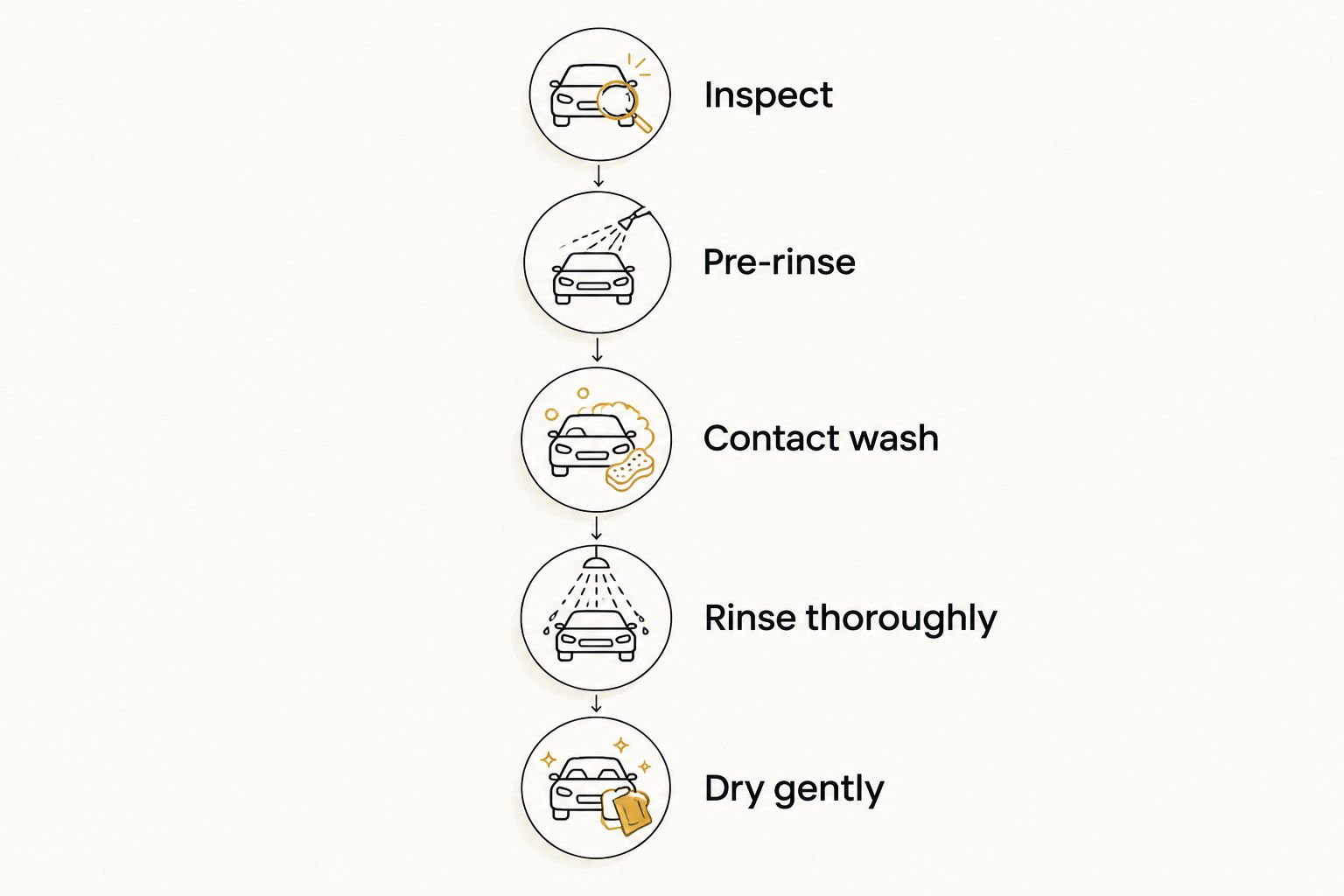 Five maintenance-wash stages from inspecting coated paint to drying it gently.
