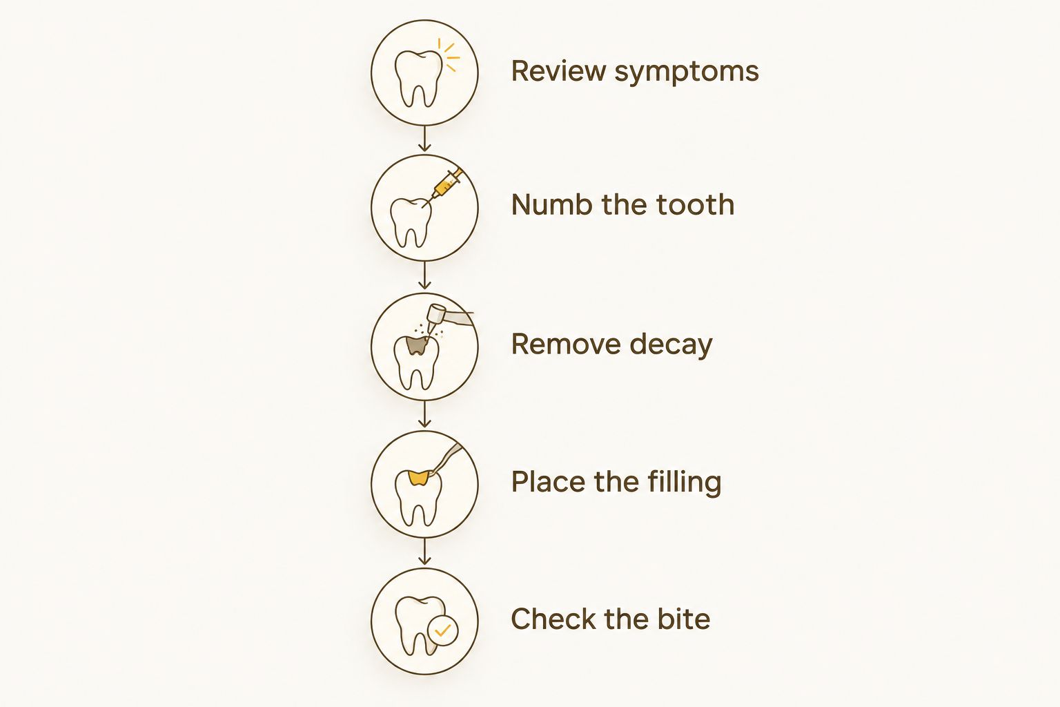 Filling appointment stages from reviewing symptoms through checking the bite