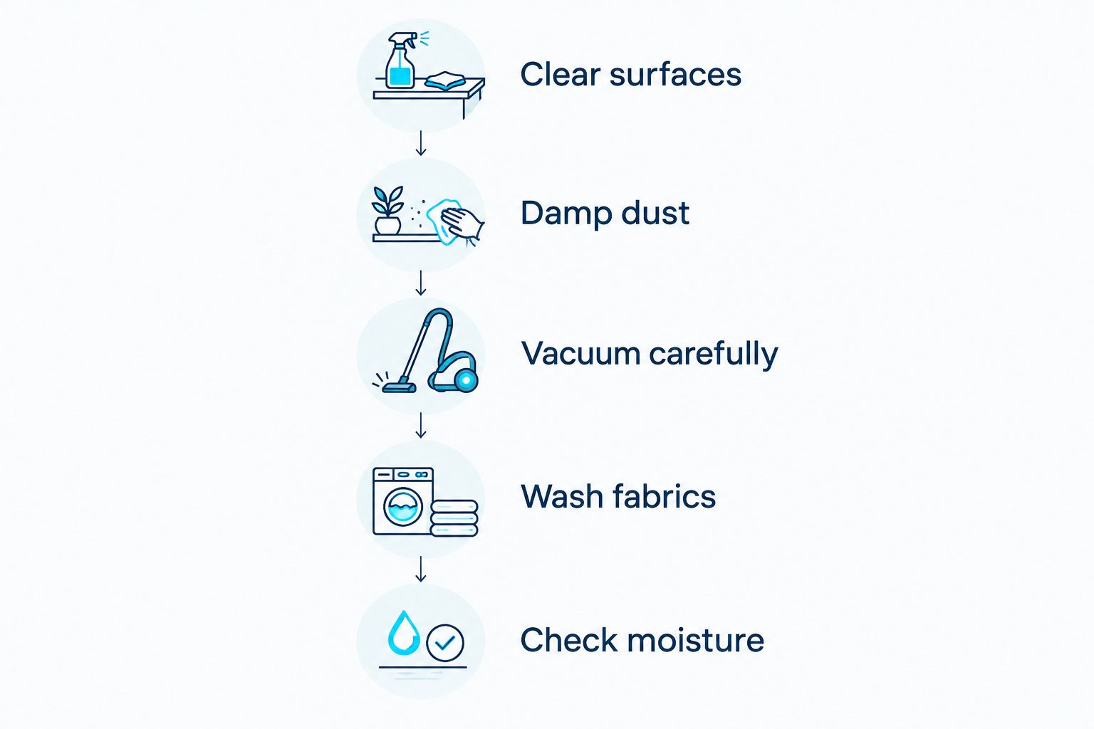 Cleaning sequence covering surface access, damp dusting, vacuuming, washable fabrics, and moisture checks.
