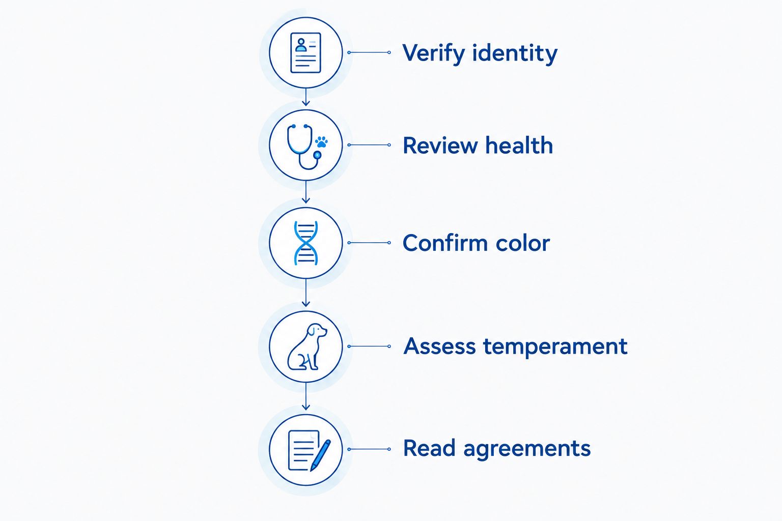 Five checks for choosing a Bulldog puppy, from verifying identity to reading agreements