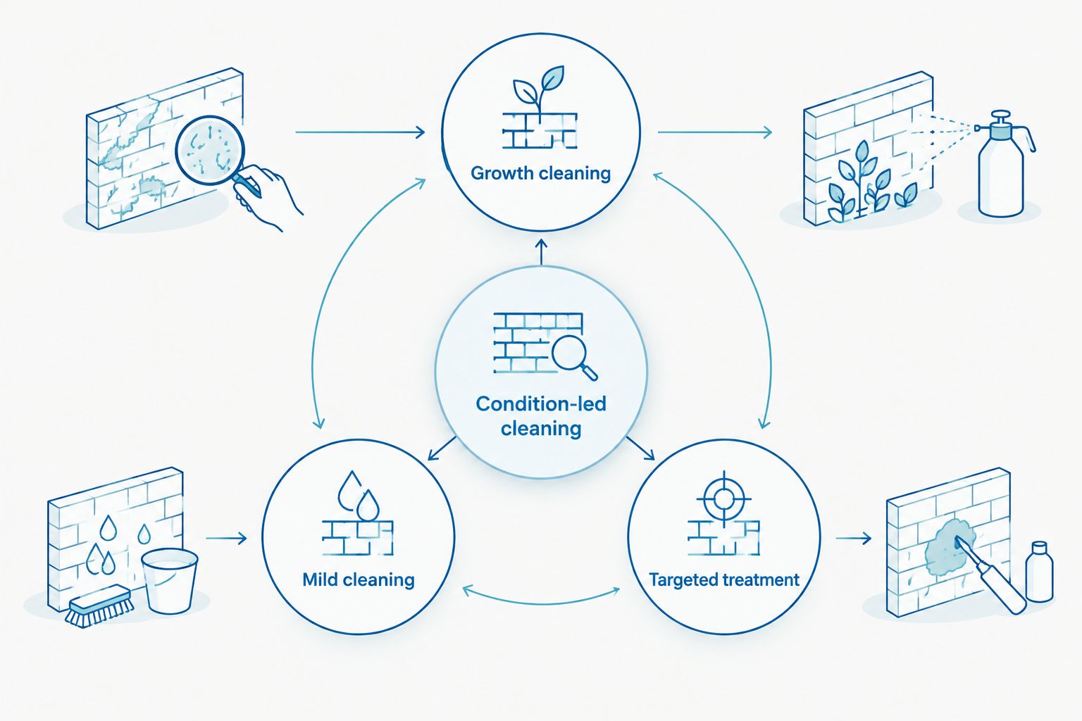 Condition-led brick cleaning connected to growth cleaning, mild cleaning, and targeted treatment.