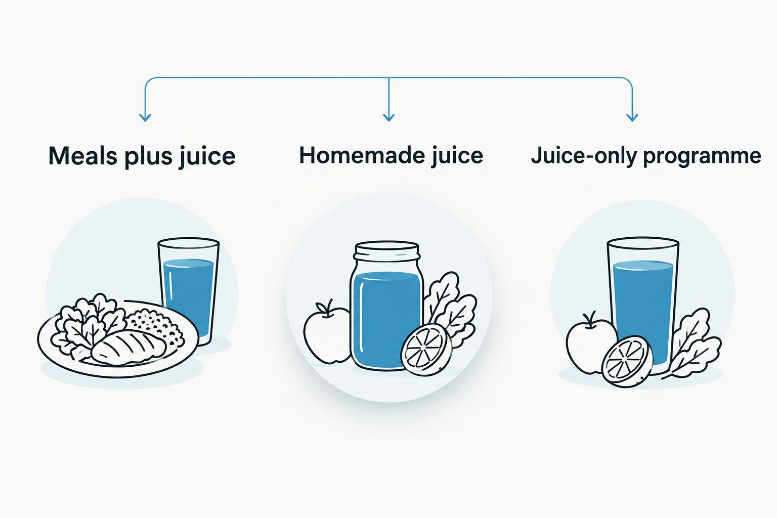 Three approaches to juice: alongside meals, homemade juice and a juice-only programme.