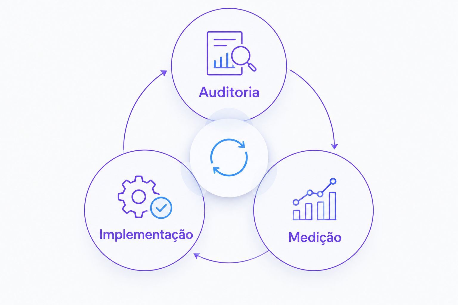 Ciclo de Auditoria, Implementação e Medição aplicado à decisão sobre o site.