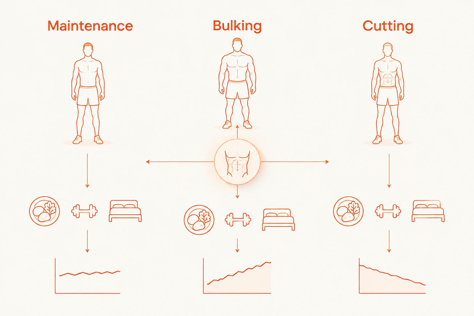 Three-column comparison of whey protein dosing goals: maintenance, bulking, cutting