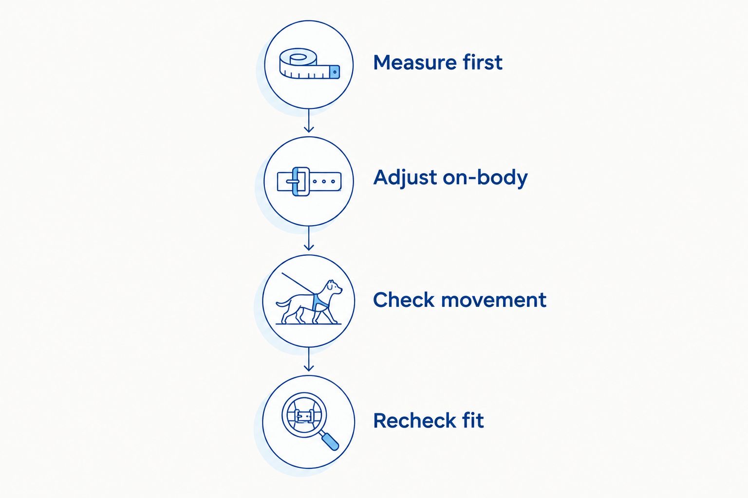 Four stages for measuring, adjusting, checking movement, and rechecking a puppy harness