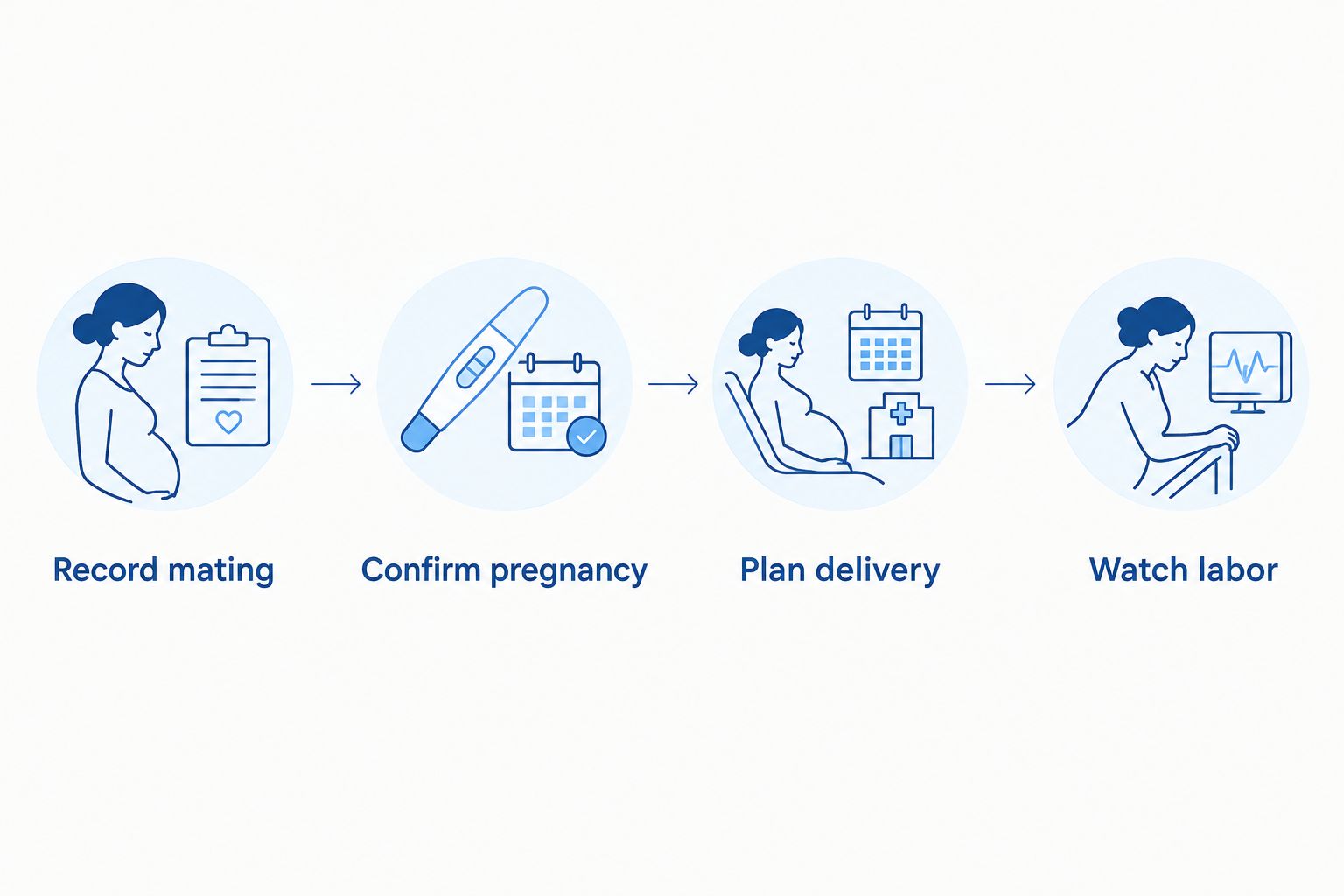 Four steps for tracking a French Bulldog pregnancy from mating records through labor