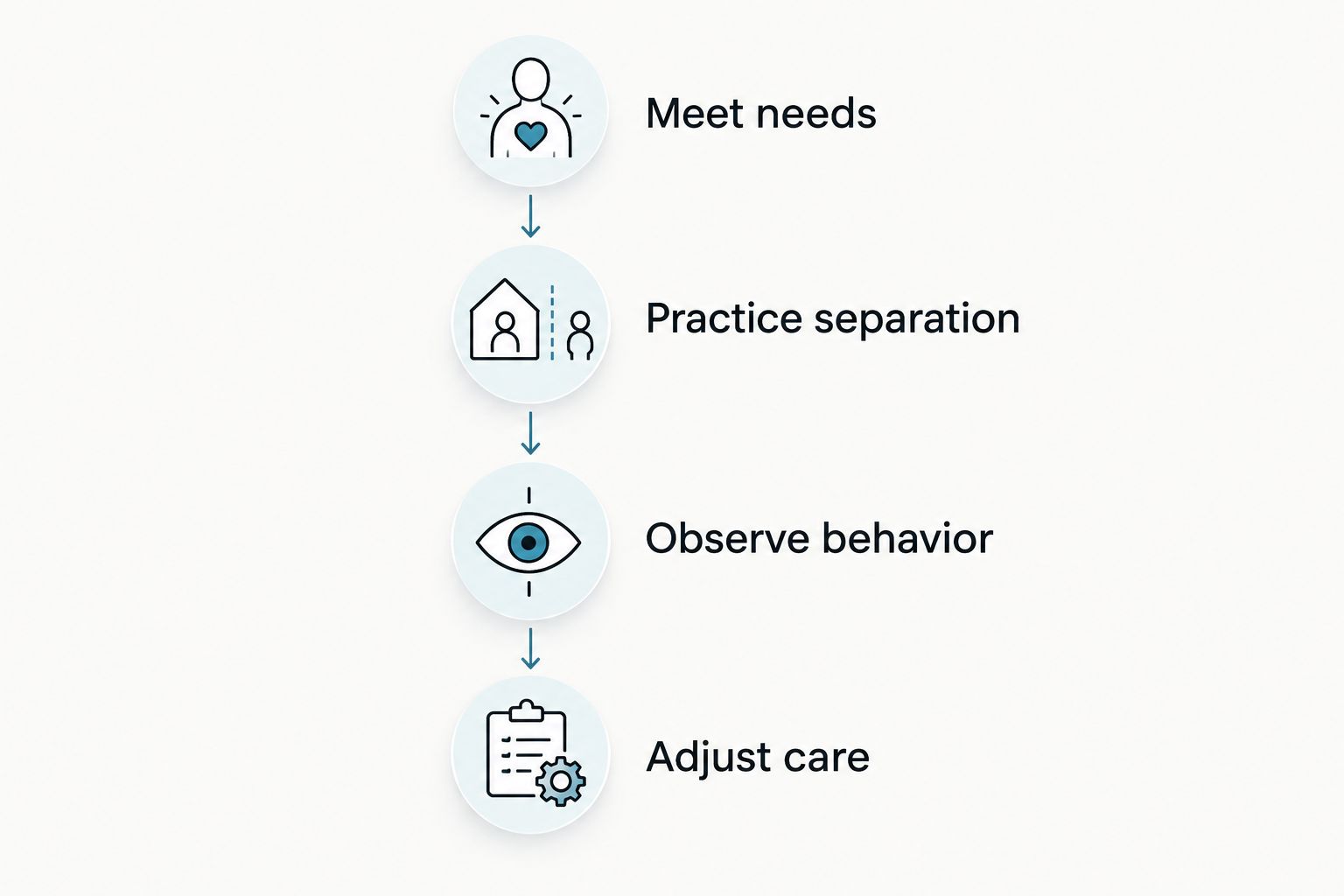Four steps for building a workday routine: meet needs, practice separation, observe behavior, and adjust care.