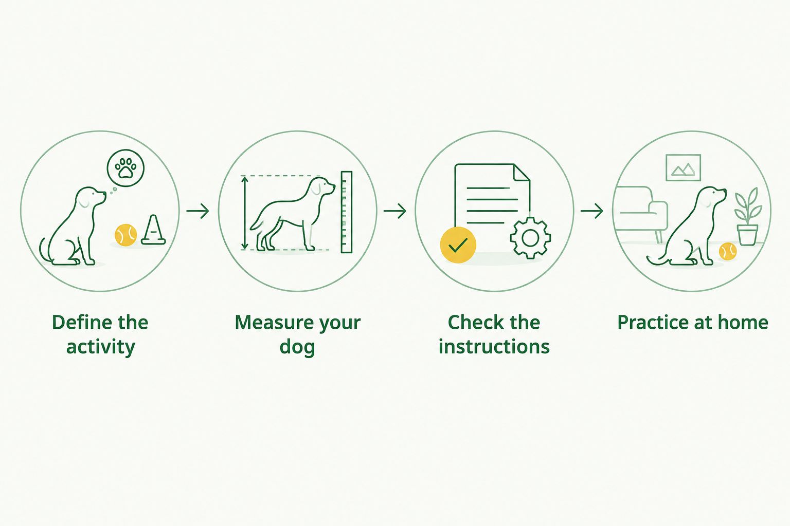 Four steps for selecting dog gear, from defining the activity to practicing at home