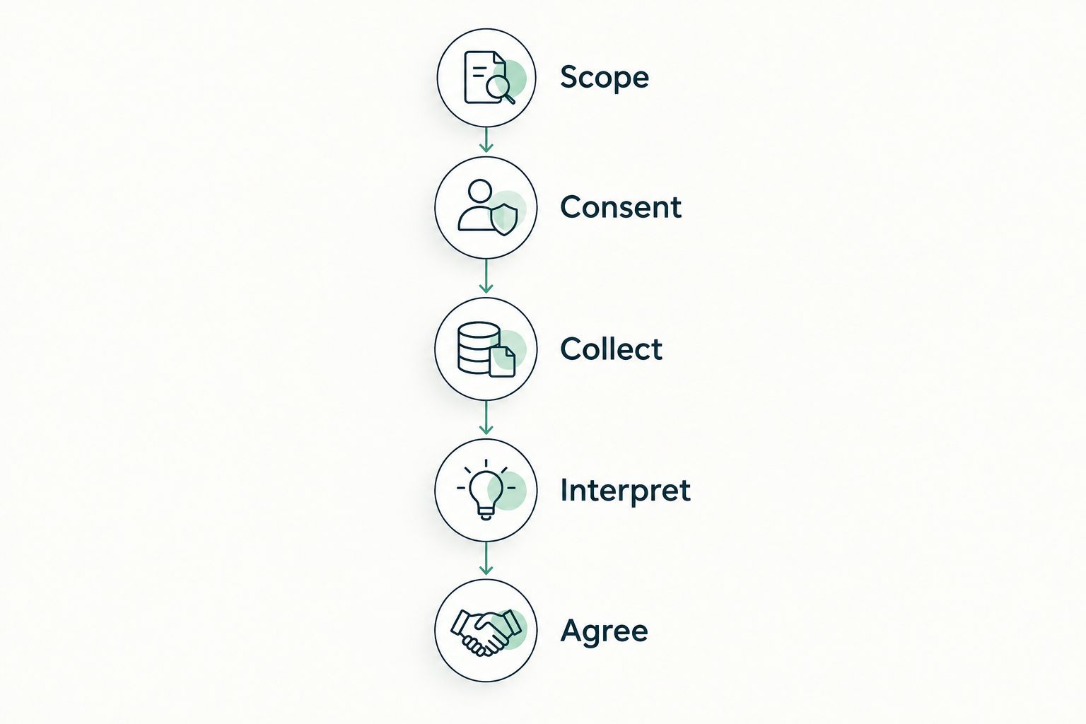 Illustrative review timeline from scope and consent through collection, interpretation and agreement
