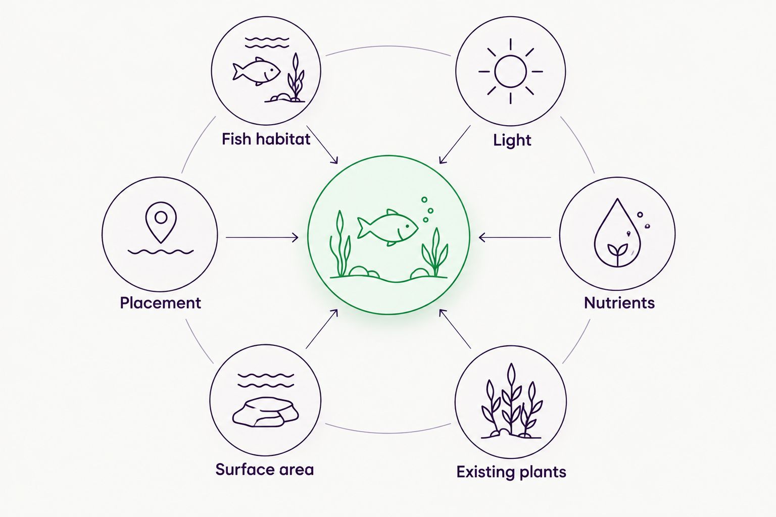 Diagram showing light, nutrients, existing plants, surface area, and placement around fish habitat