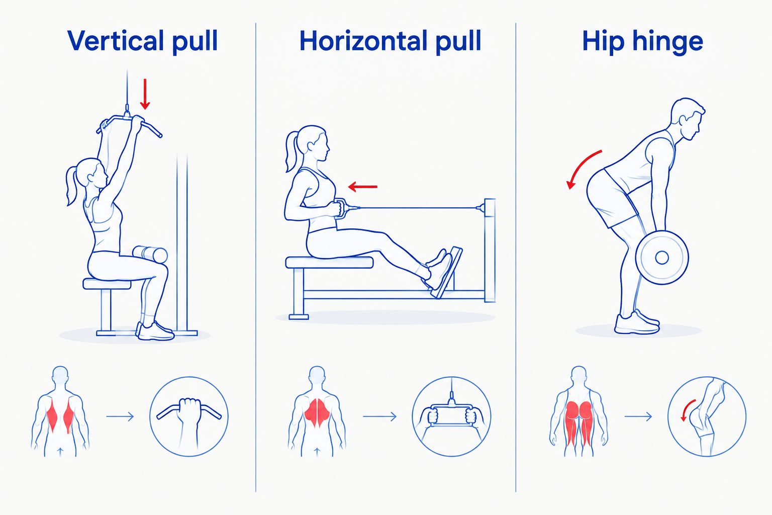 Vertical pulling, horizontal rowing, and hip hinging shown as distinct movement patterns
