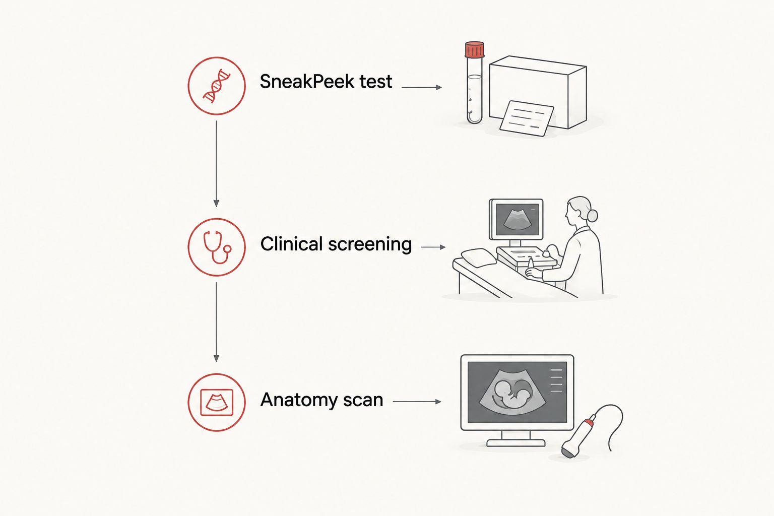 Timeline showing SneakPeek testing before clinical screening and the anatomy scan