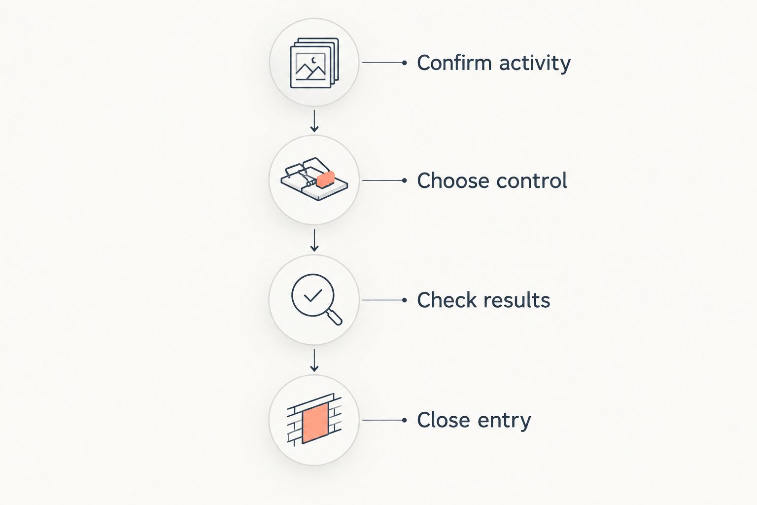 Four stages from confirming rodent activity to closing entry points