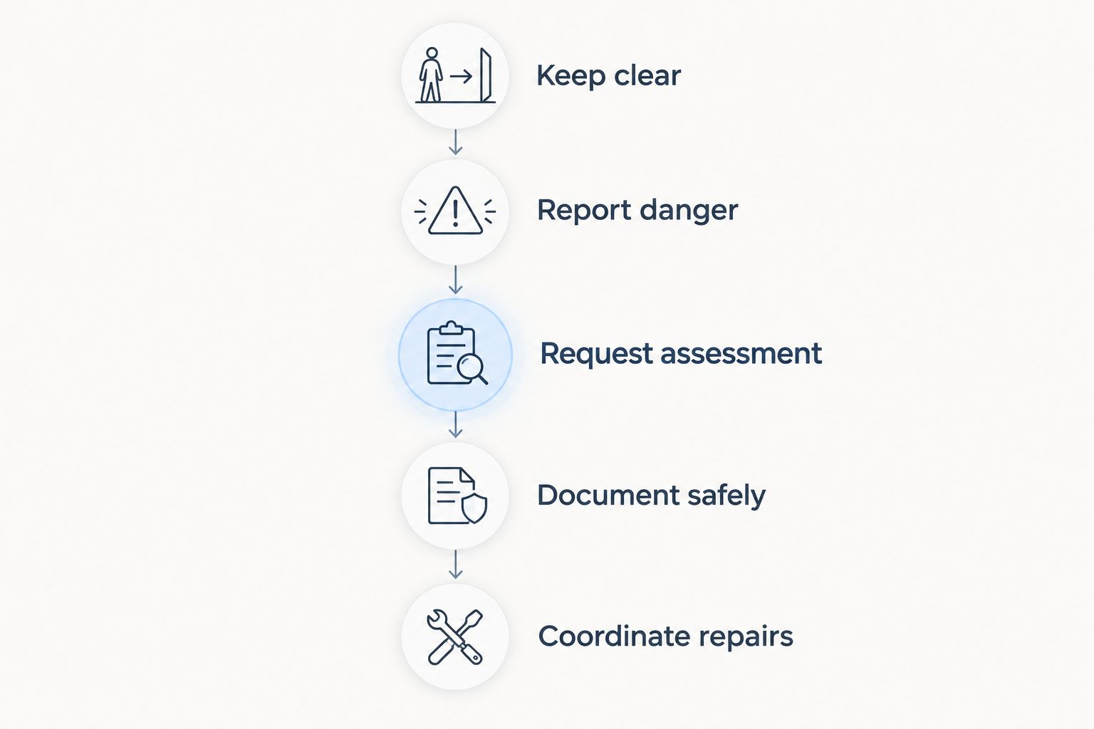 Sequence for responding to a fallen tree on a roof, from keeping clear to coordinating repairs.