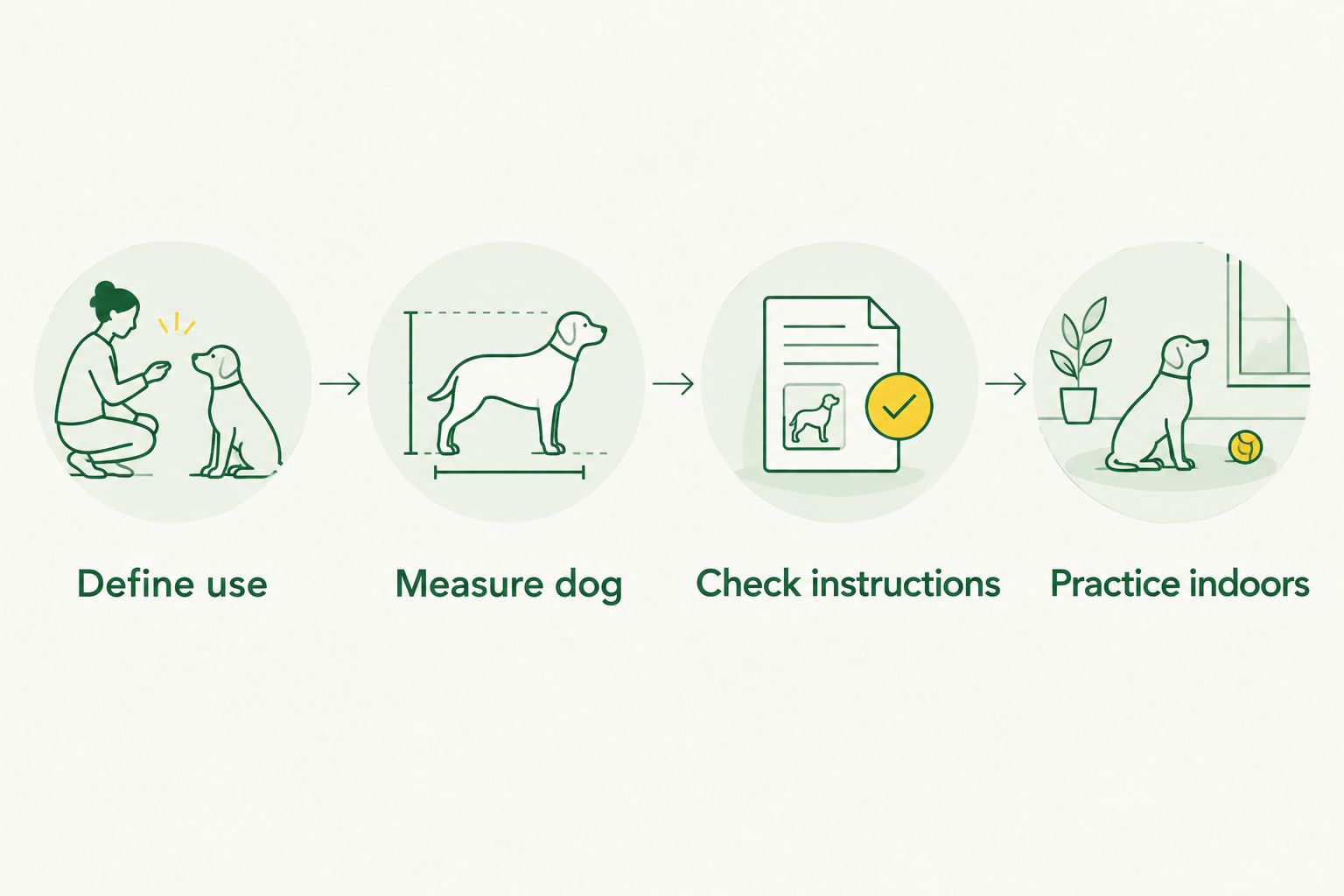 Four checks before an outing: define use, measure your dog, check instructions, and practice indoors.