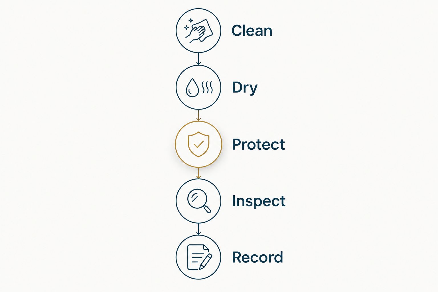 Storage maintenance sequence showing cleaning, drying, protection, inspection, and recordkeeping