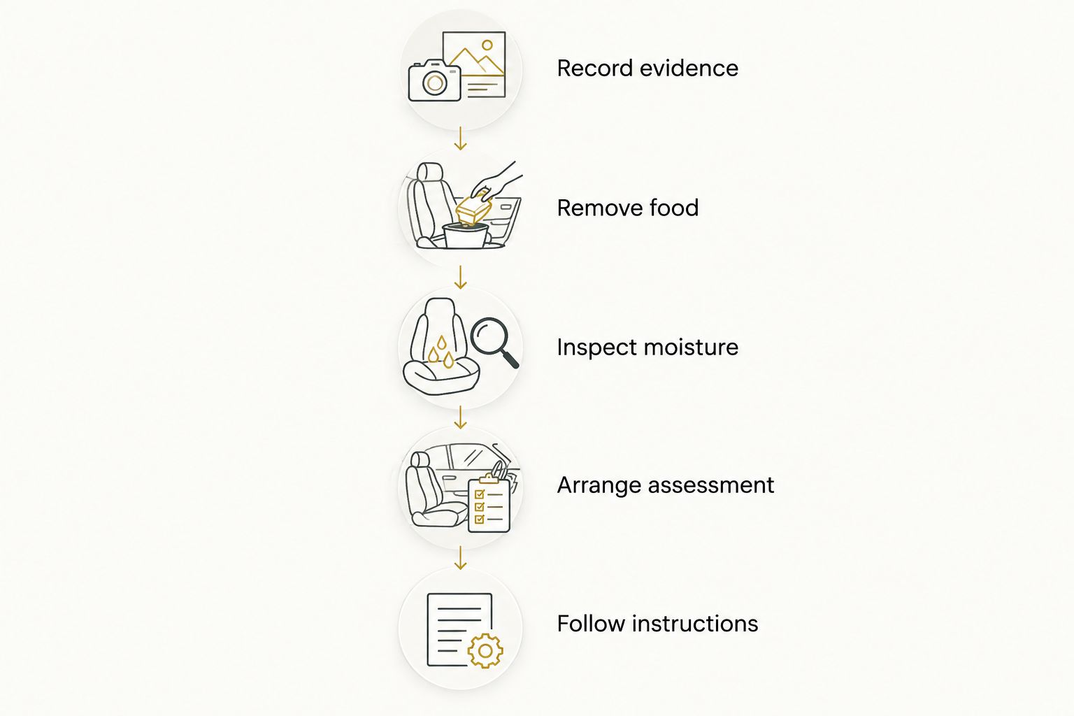 EA Detailer Sequence from recording pest evidence to following the treatment provider’s instructions