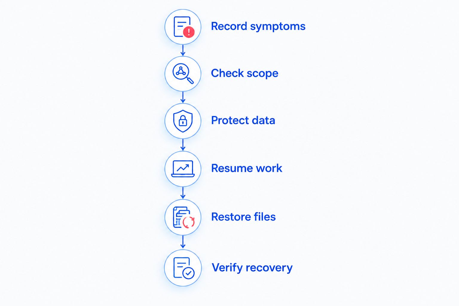Recovery sequence from recording crash symptoms to verifying restored business work