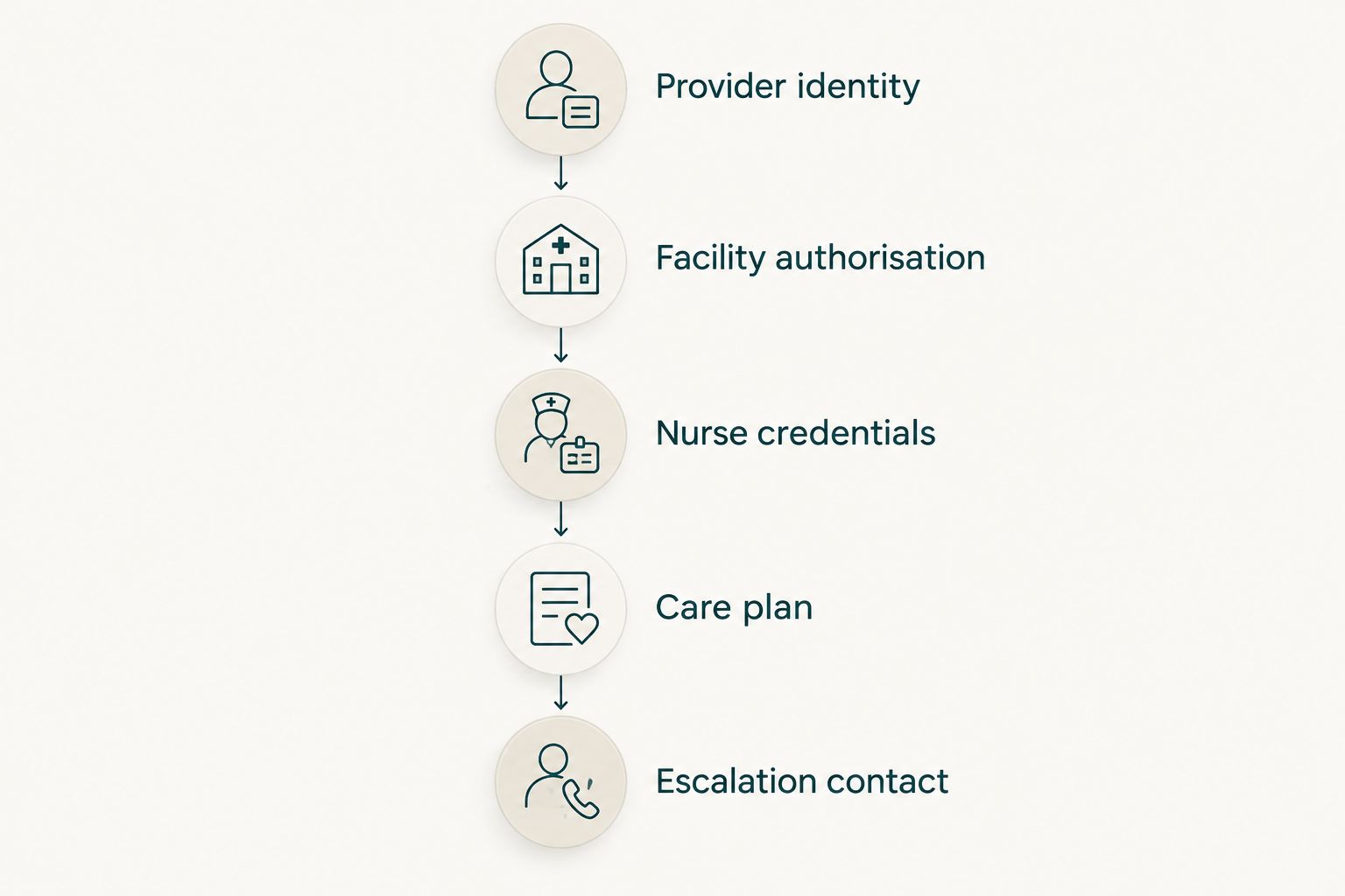 Five checks covering provider identity, authorisation, nurse credentials, the care plan and escalation.
