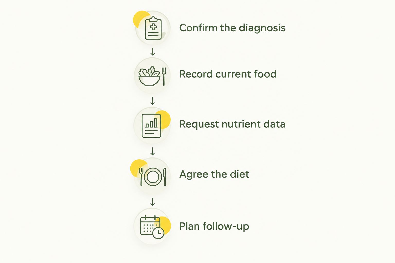 Five steps for reviewing a dog's current raw diet after a kidney diagnosis