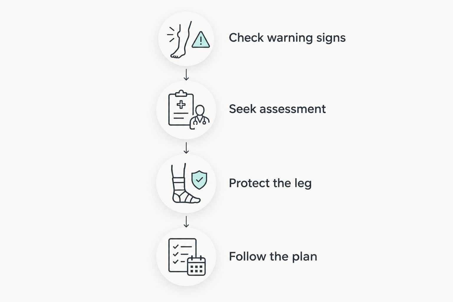 Steps from checking warning signs to assessment, protecting the leg, and following a treatment plan