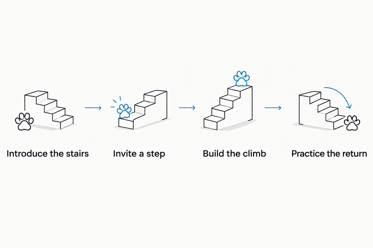 Four stages for introducing pet stairs and practicing the return trip