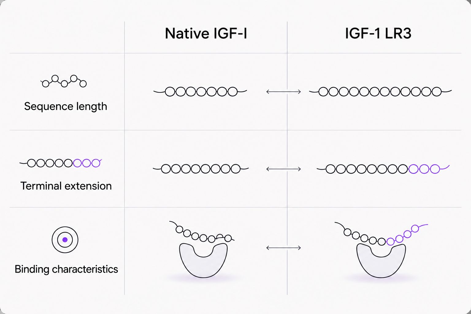 Structural comparison of native IGF-I and IGF-1 LR3 without implying equivalent storage behavior