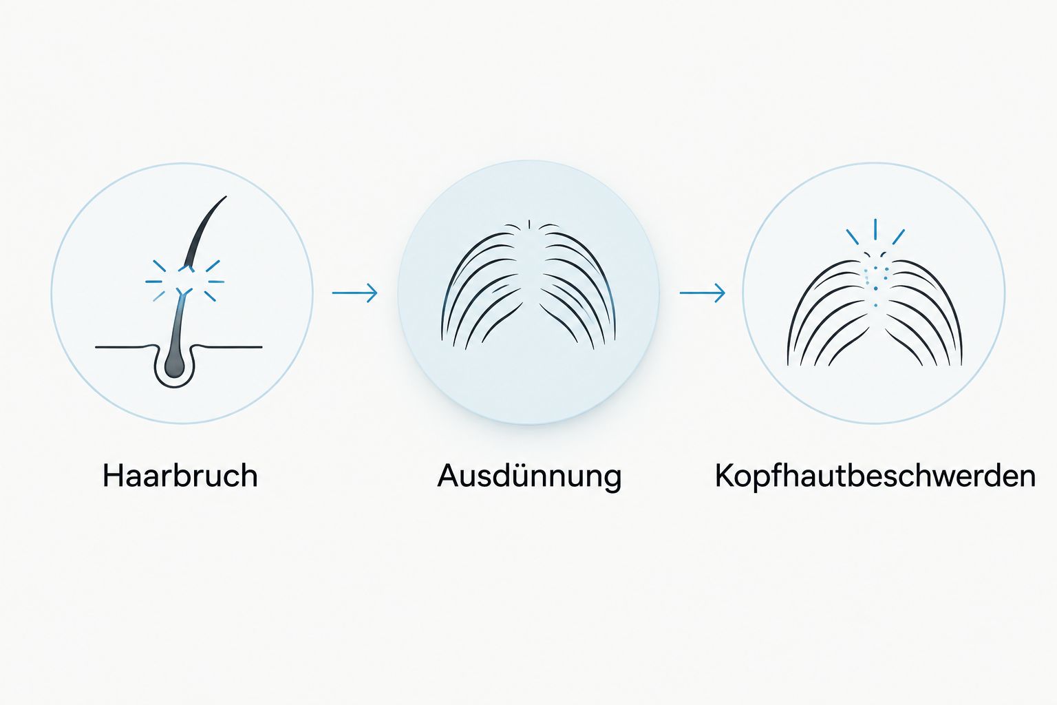 Drei Beobachtungen vor dem Shampookauf: Haarbruch, Ausdünnung und Kopfhautbeschwerden.