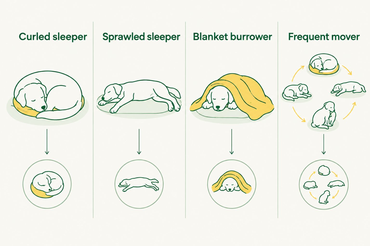Four dog sleeping styles to consider when choosing a sleeping bag or camp mat