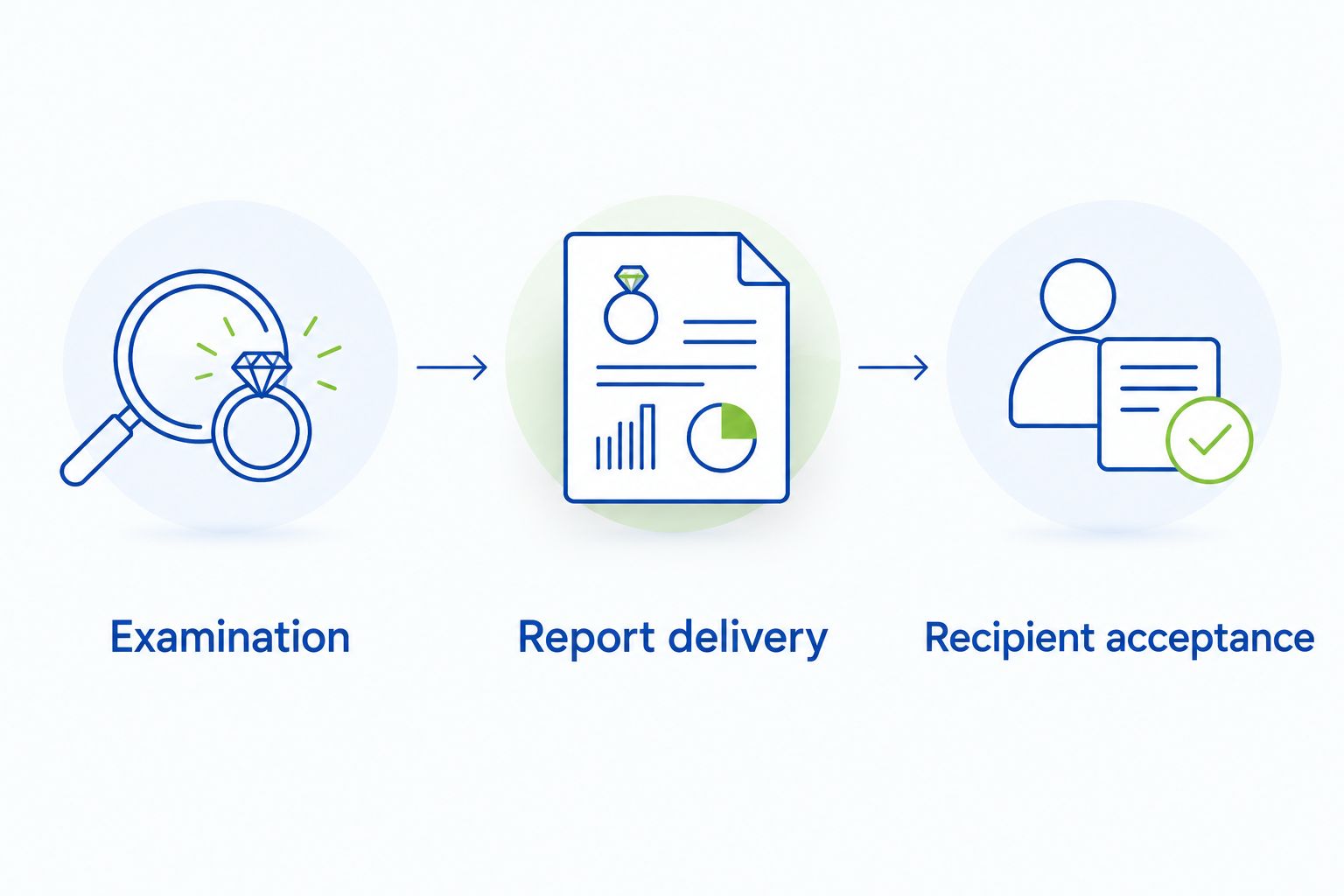 Three appraisal checkpoints: examination, report delivery, and recipient acceptance