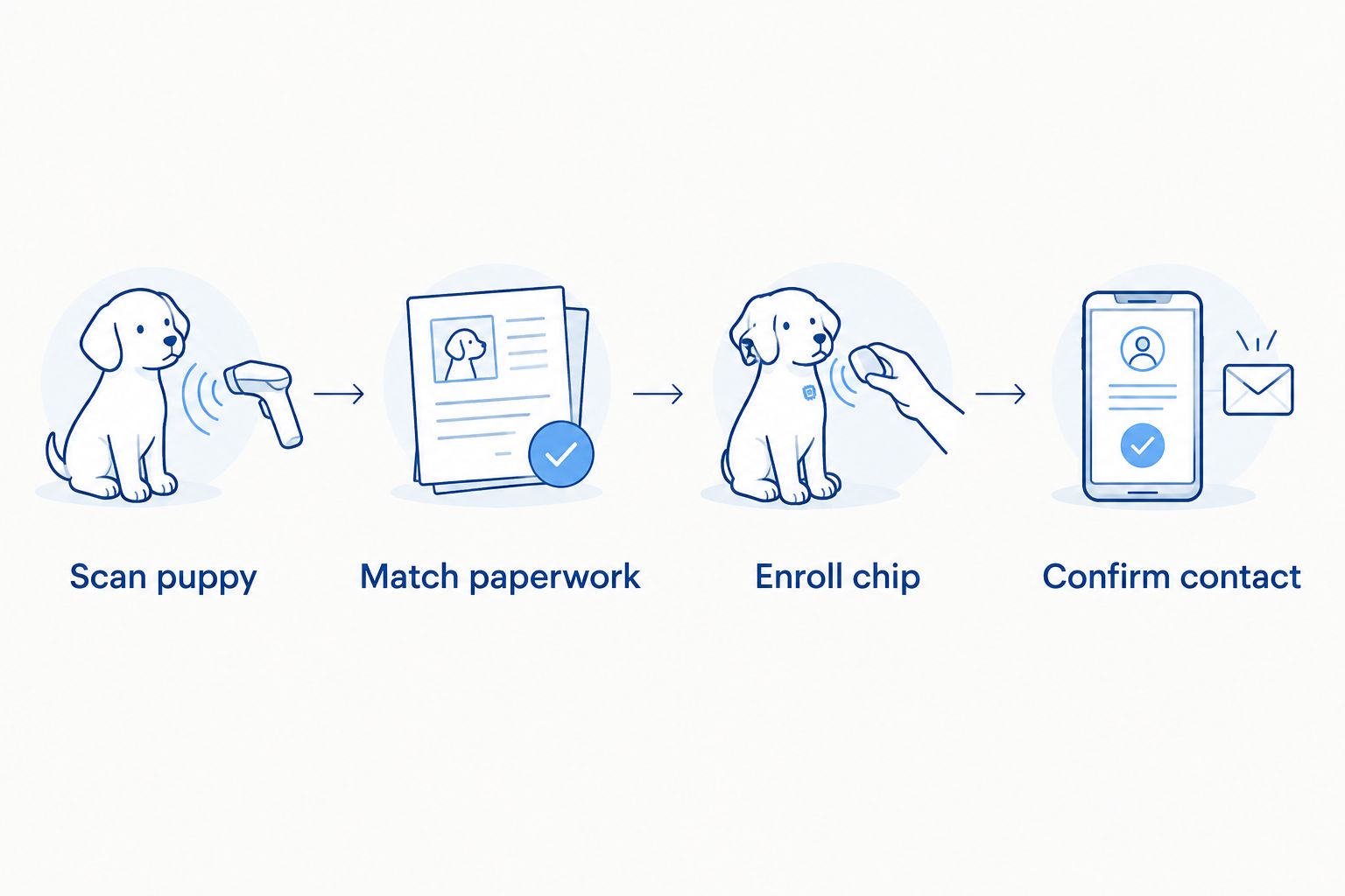 Four steps for matching a puppy's chip and paperwork, then confirming registry contact details