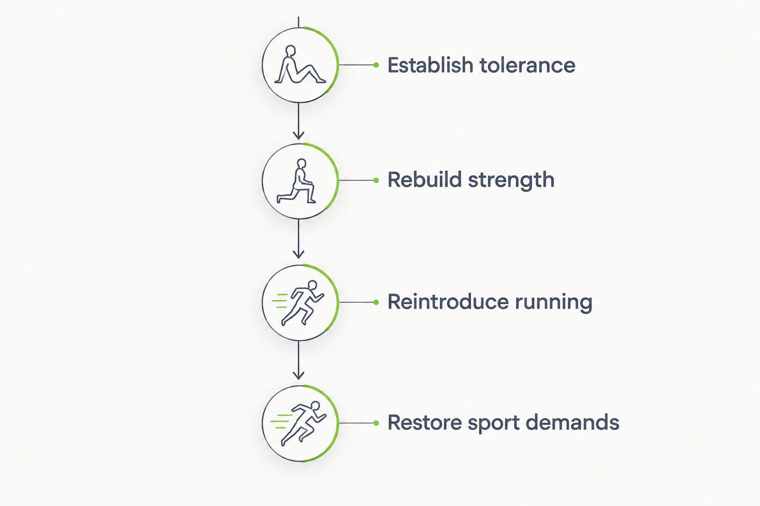Four rehabilitation stages from establishing tolerance to restoring sport demands