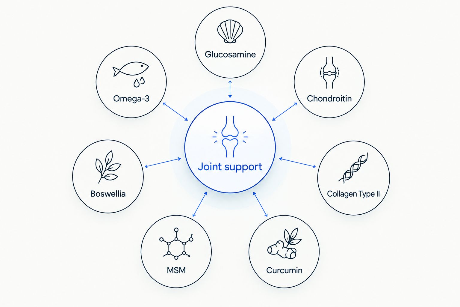 Diagram of six joint supplement ingredient types connected to a central joint support hub