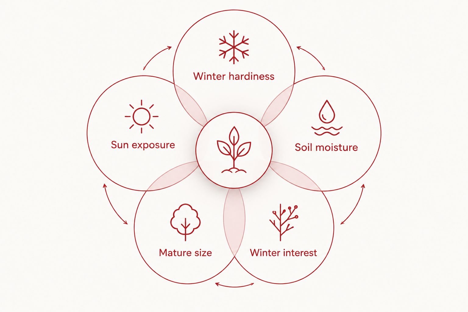 Five connected factors for choosing winter-hardy landscape plants