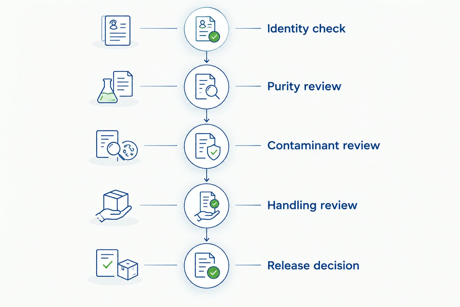 Five review stages from LL-37 identity verification to the laboratory release decision