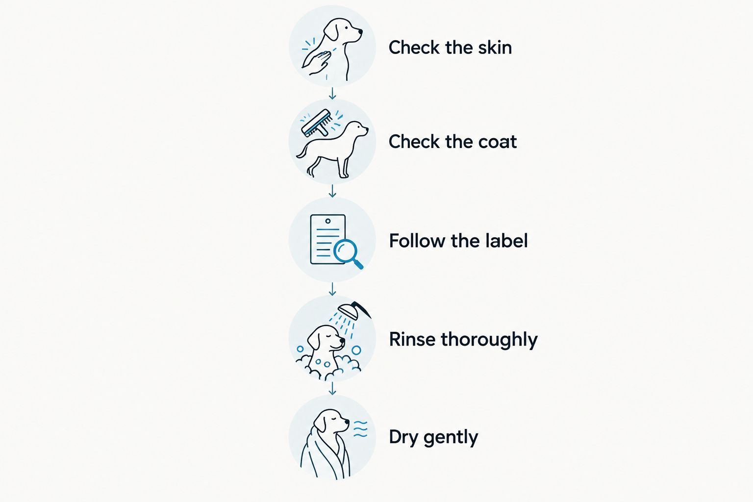 Bath routine from checking skin and coat to following the label, rinsing, and gentle drying