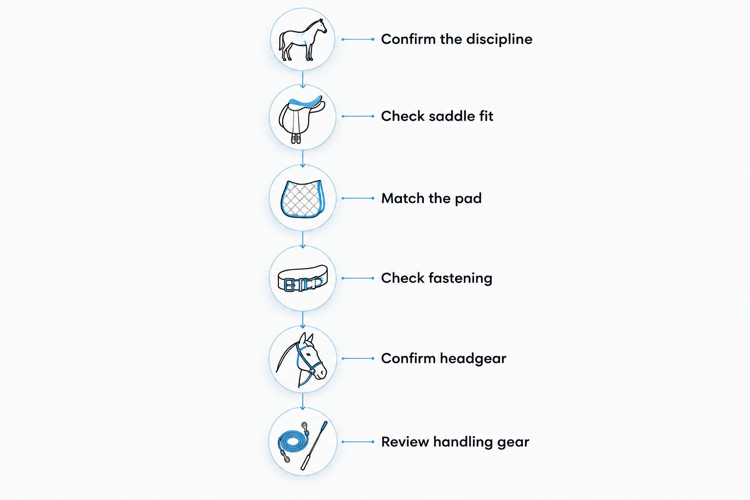 Buying sequence from choosing a riding discipline to reviewing handling equipment