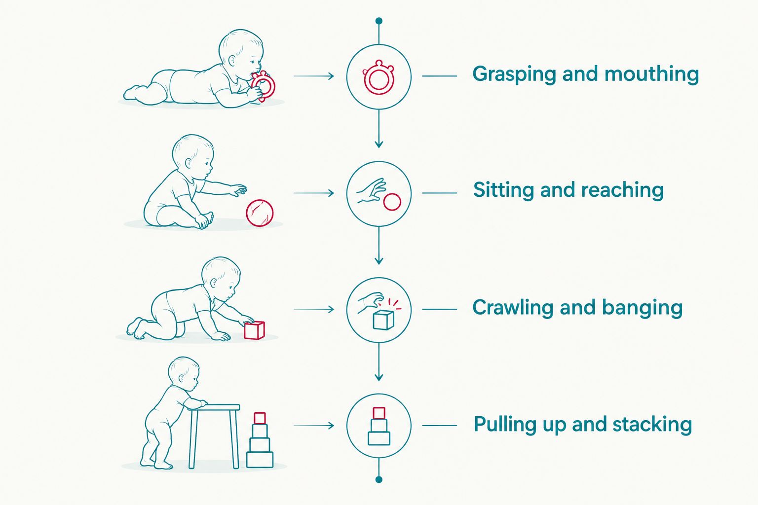 Vertical timeline of baby development stages from grasping to pulling up