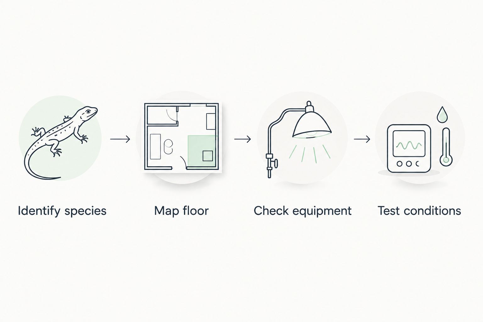 Four enclosure planning steps from identifying the species to testing habitat conditions