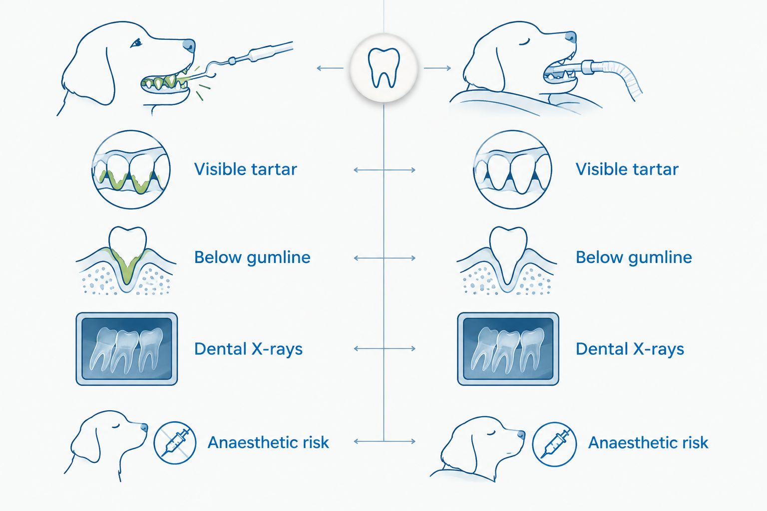 Comparison of visible tartar removal and below-gumline veterinary dental assessment