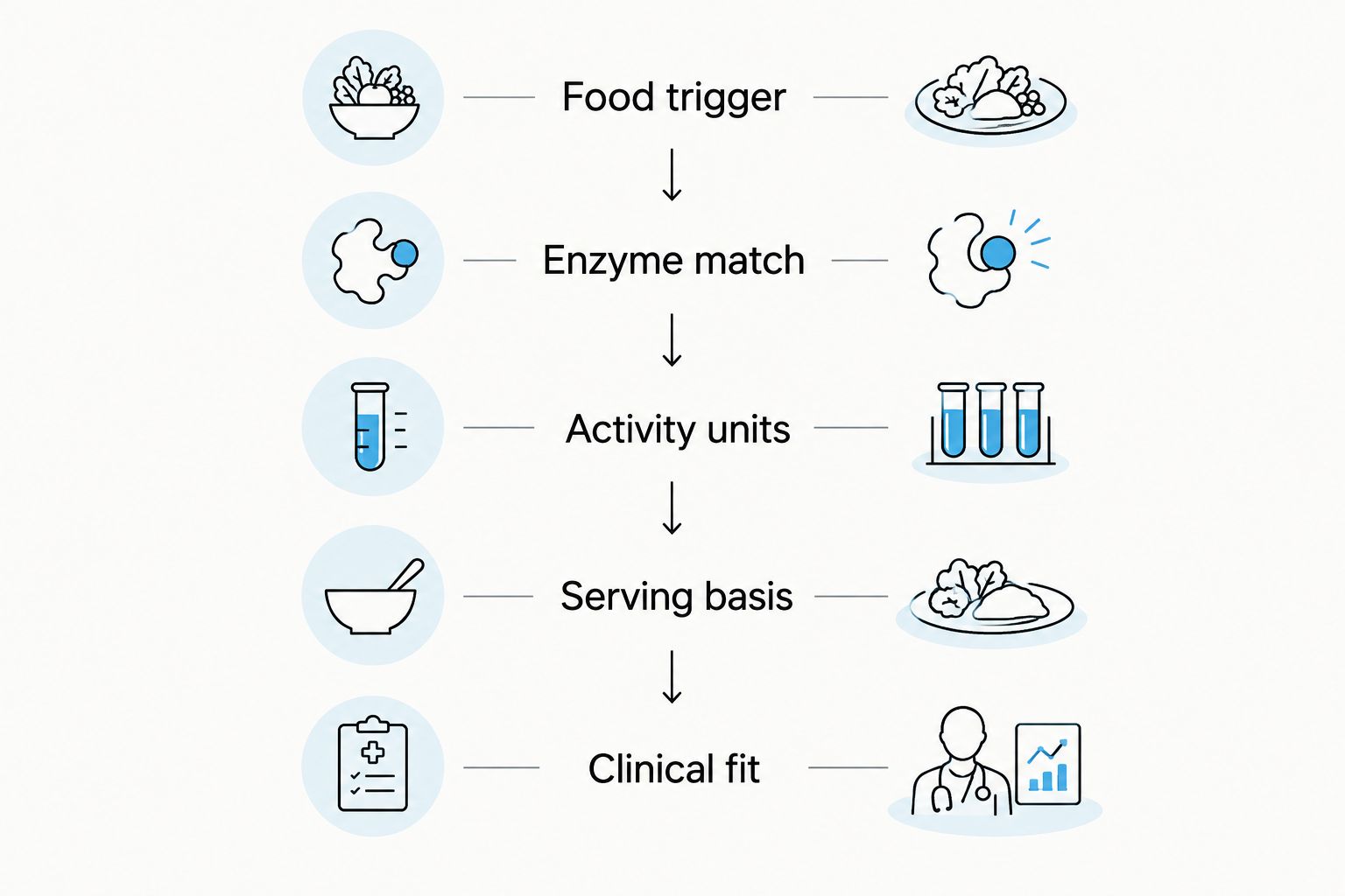 Five steps for comparing digestive enzymes, from food trigger to clinical fit