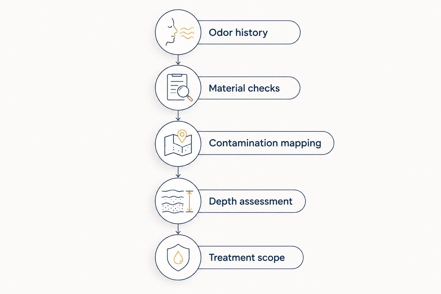 Inspection sequence from odor history through material checks and depth assessment to treatment scope