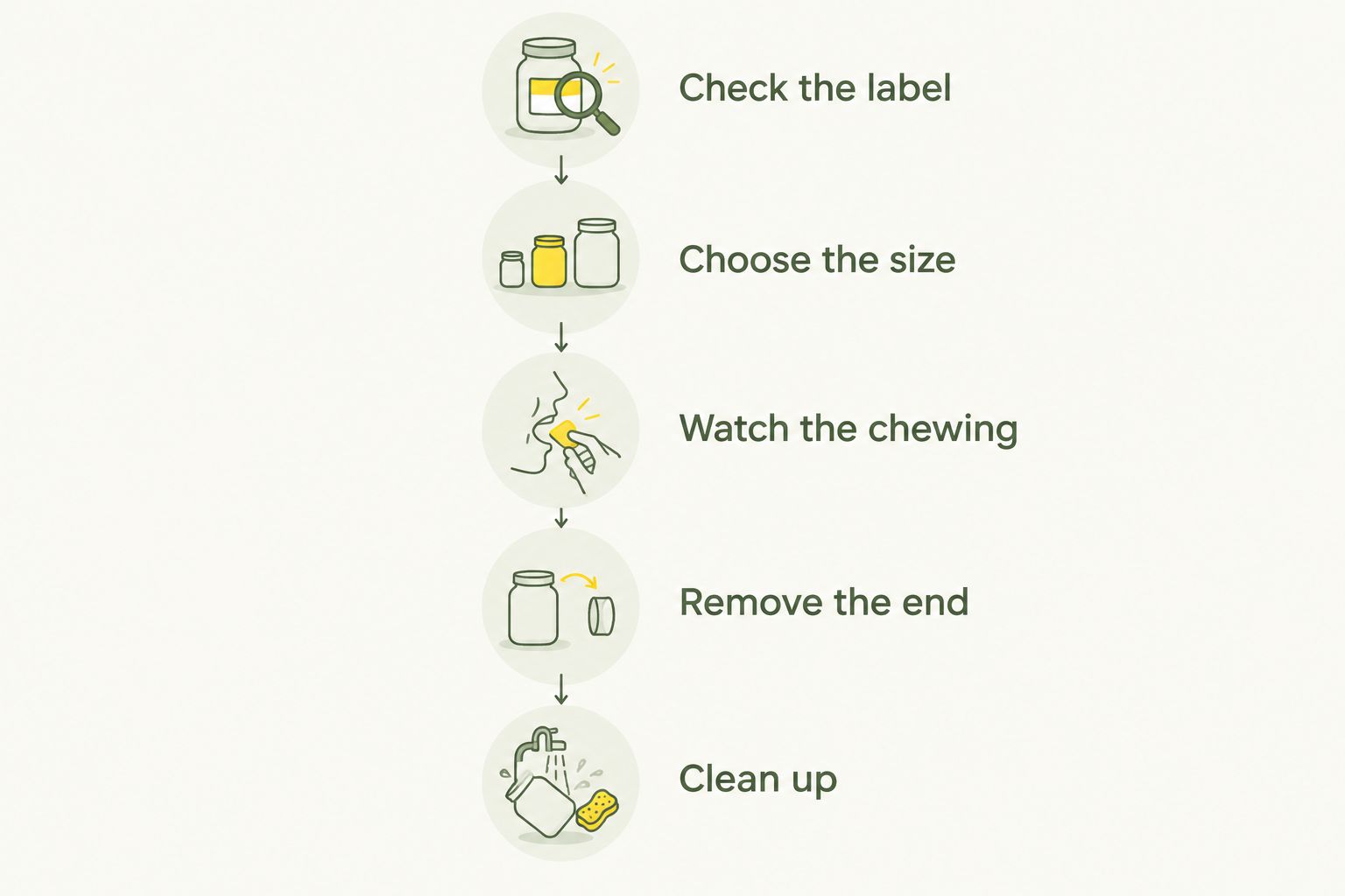 Five checks for choosing, supervising and clearing away a natural dog chew