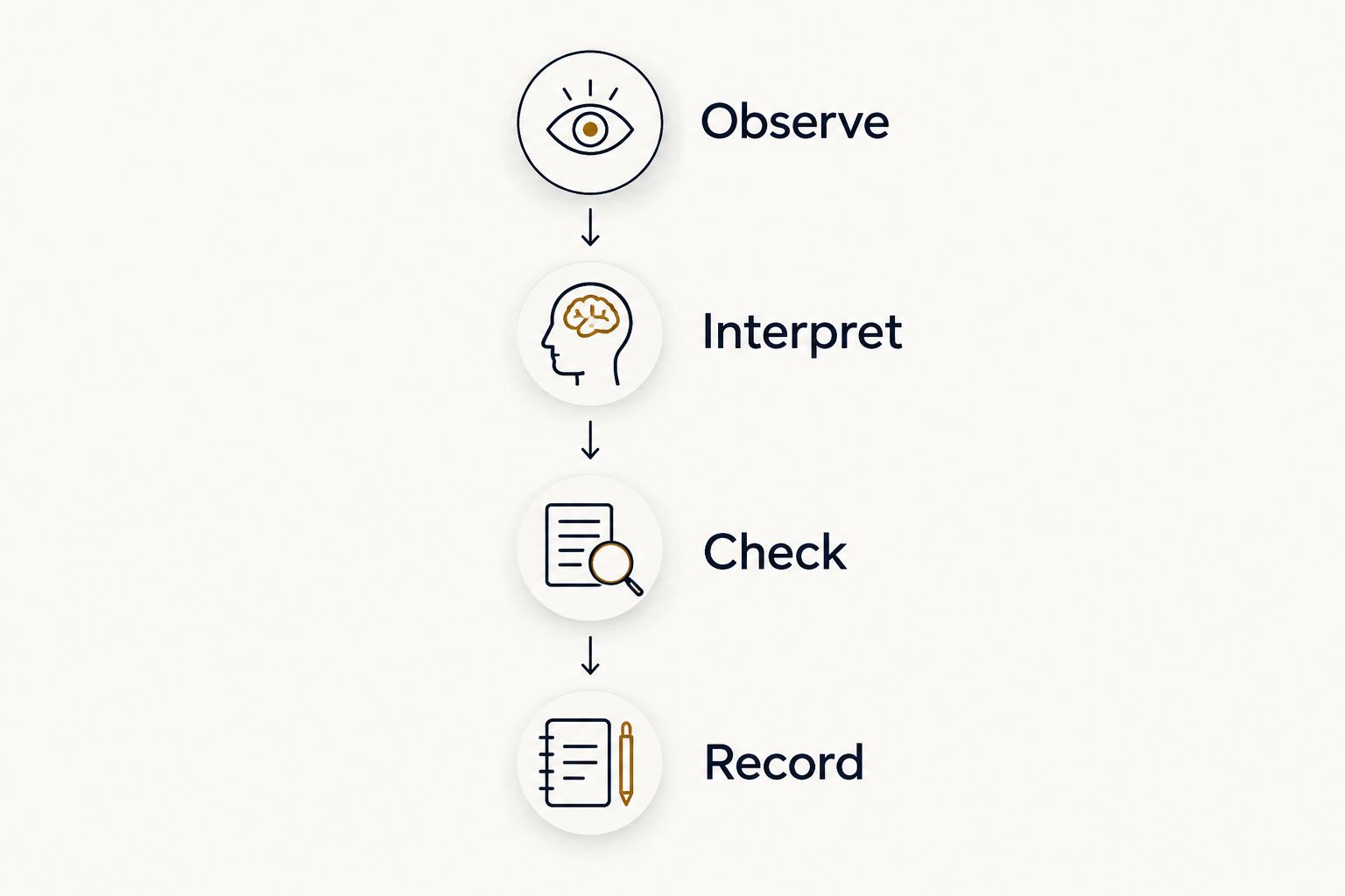 Four tarot practice steps: observe the card, interpret it, check a reference, and record your learning.