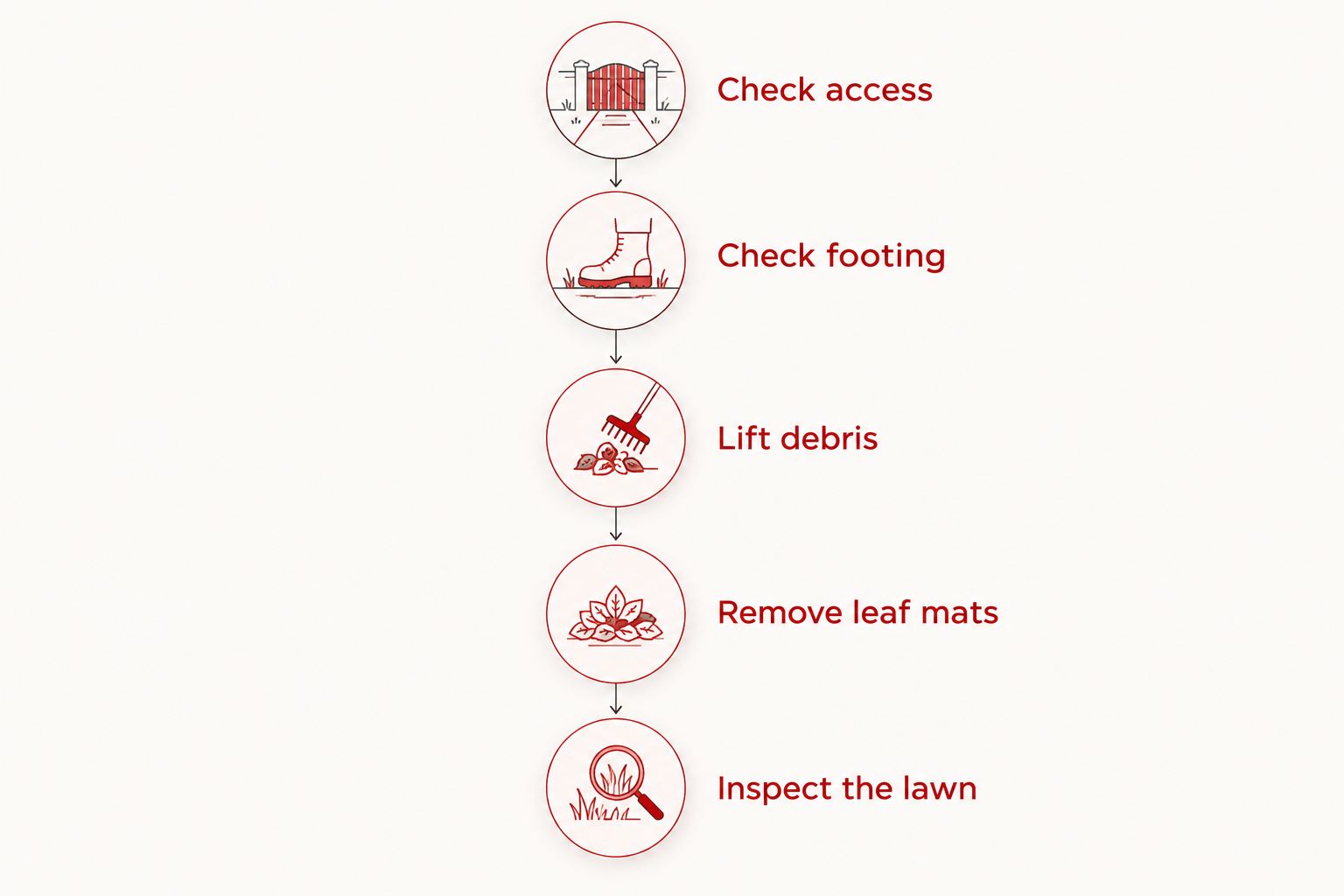 Cleanup sequence from checking safe access and footing to removing debris and inspecting the lawn