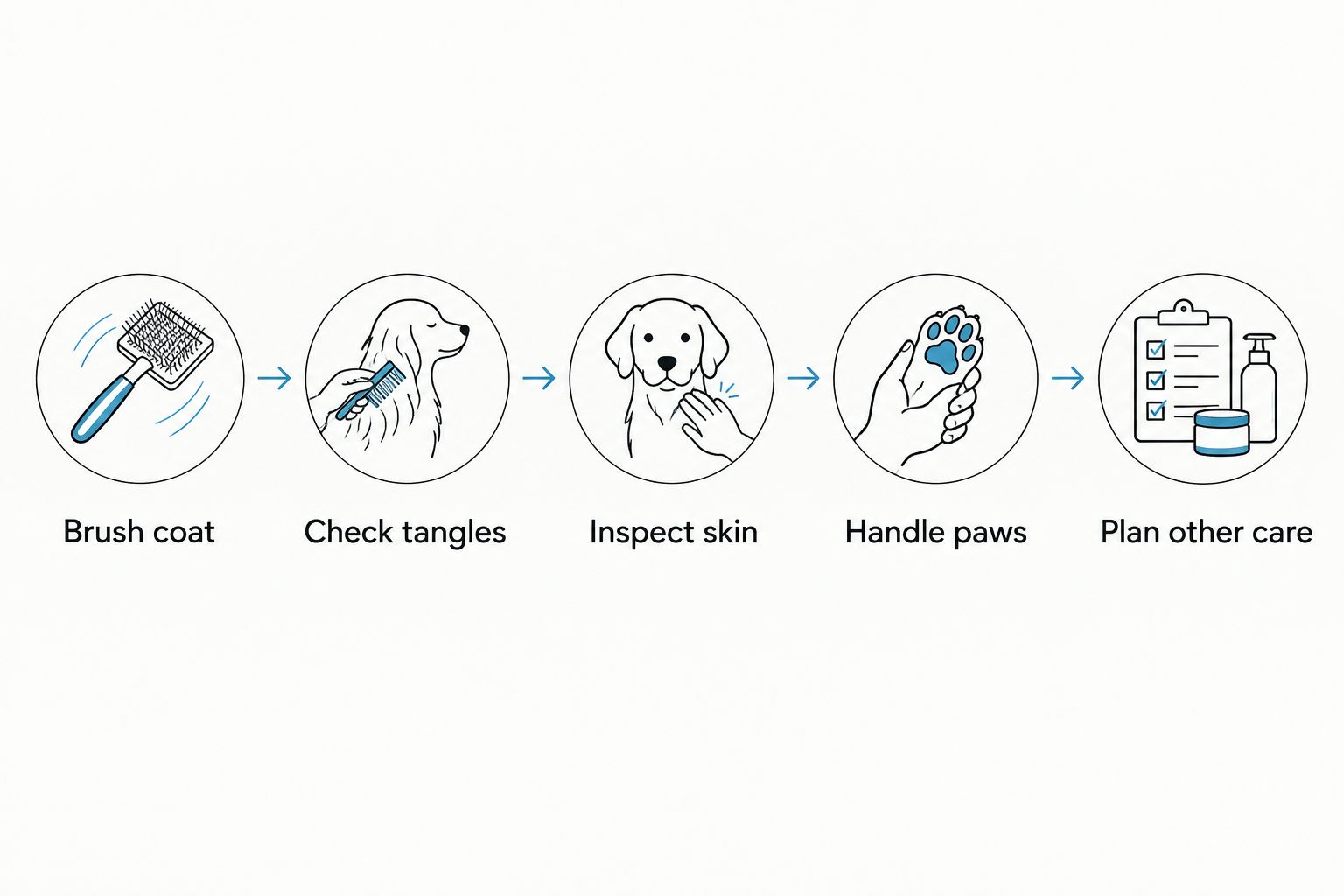 Five-step sequence for checking a dog during home grooming